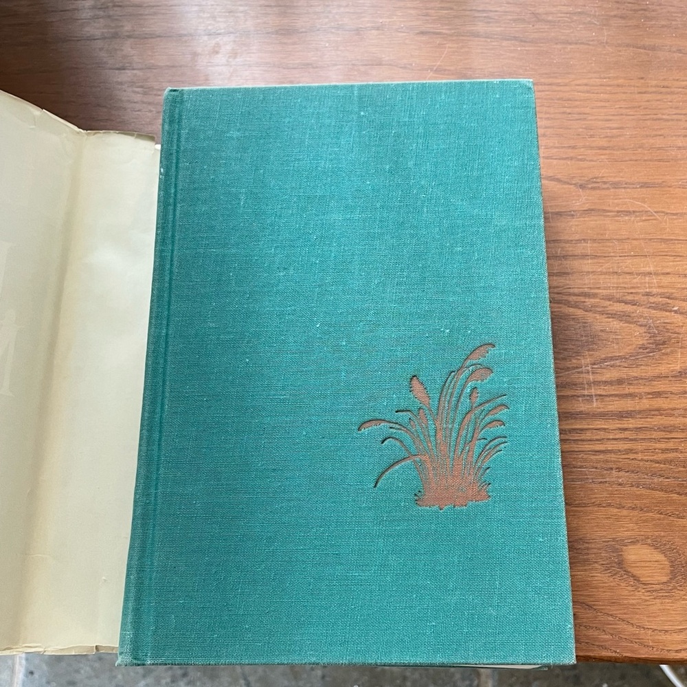 James A. Michener “Chesapeake” First Edition hardcover book - Picture 7 of 16